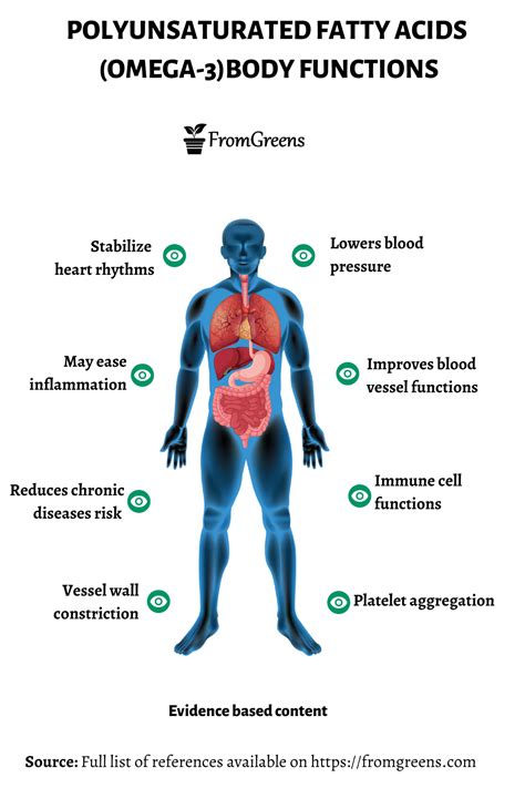 omega-3 role in cell replication|omega 3 fatty acids.